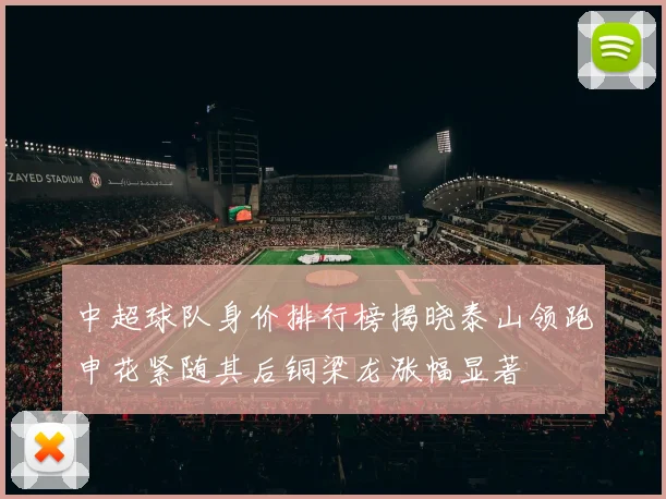 中超球队身价排行榜揭晓泰山领跑申花紧随其后铜梁龙涨幅显著